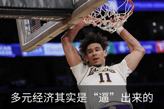 多元经济其实是“逼”出来的